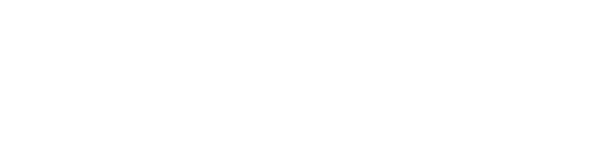 VORA